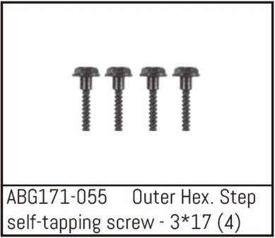 Outer Hex. Step Self-Tapping Screw M3*17 (4) absima