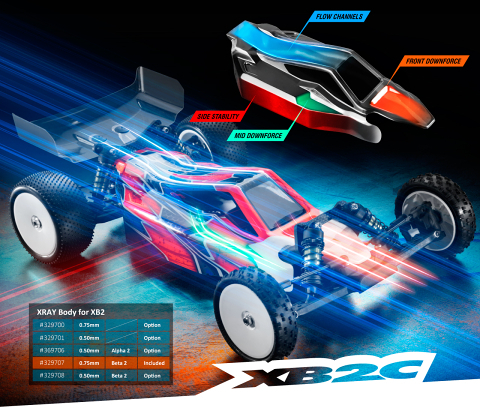 xray xb2 2019 carpet edition